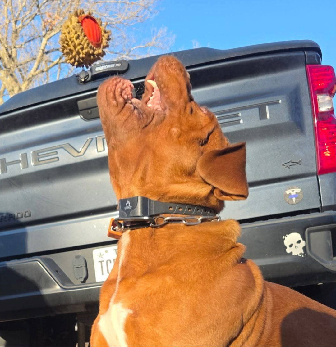 ax chevy
